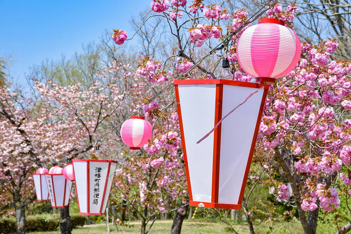 倶利伽羅県定公園（桜まつり）